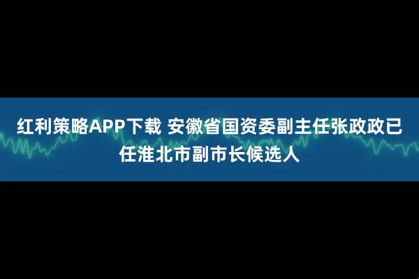 红利策略APP下载 安徽省国资委副主任张政政已任淮北市副市长候选人
