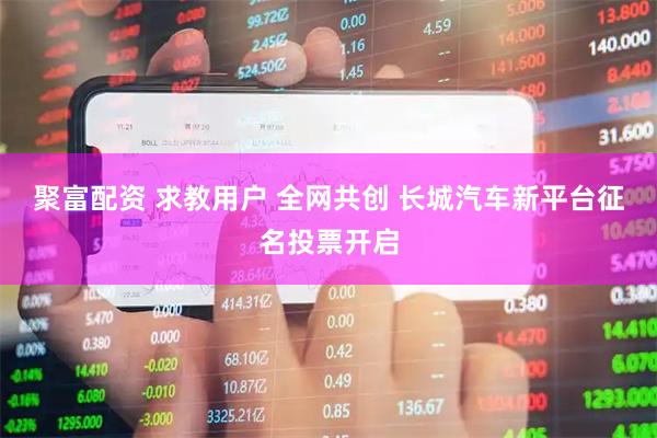 聚富配资 求教用户 全网共创 长城汽车新平台征名投票开启