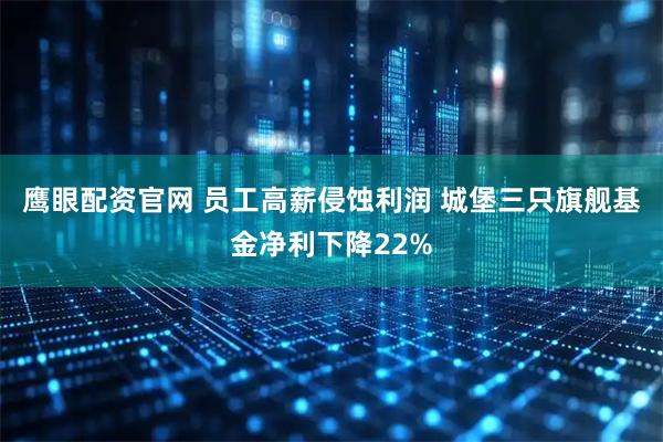 鹰眼配资官网 员工高薪侵蚀利润 城堡三只旗舰基金净利下降22%