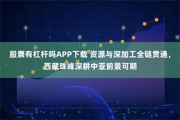 股票有杠杆吗APP下载 资源与深加工全链贯通，西藏珠峰深耕中亚前景可期